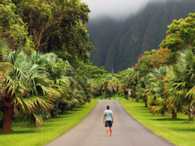 Oahu, insula din Hawaii care atrage turiștii ca un magnet